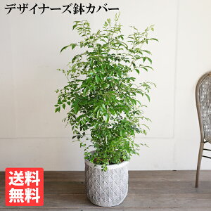 V}glR t@Co[Zg Jo[t Vo[O[  glR ϗtA  A  CeA ^ ^