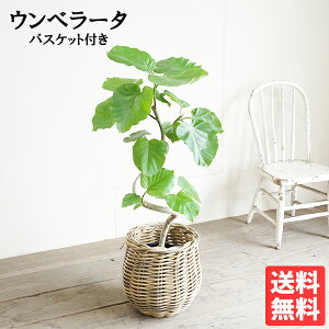 Ex[^ [v` i`oXPbgt  tBJXEx[^ ϗtA  ^ ^ tBJX S̖  K[f DIY  ϗtA ϗtA CeA E