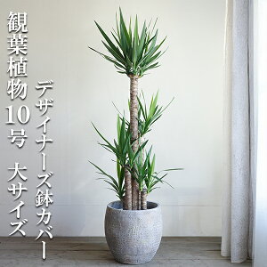 ϗtA ^ bJ Gt@eByX 10 @ll ̖͗l t@Co[Jo[t ɋ v~A  ڔ 唫 10 TCY 傫TCY CeA J