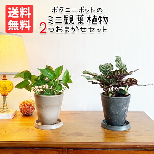 ϗtA  Zbg { ~j 2Zbg {^j\|bgȀ^  ~jTCY CeA