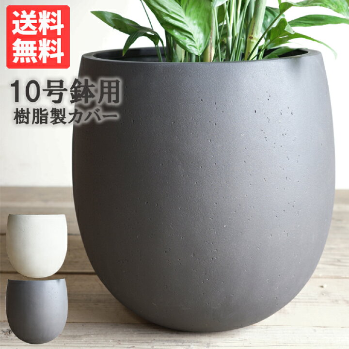 楽天市場】バルーン型 デザイナーズ 高級鉢カバー 送料無料 観葉植物 