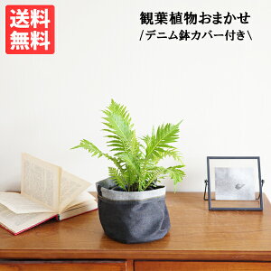 ϗtA ܂ fjJo[t IWii  CeA e[uTCY ^ ^ 