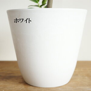 tXS Sd Iׂ{^j[|bg tXS̖ [v` ϗtA _[NO[ zCg tBJXrMm[T   K[f DIY  ϗtA CeA