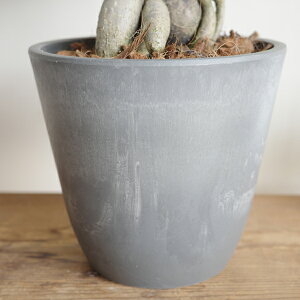 KW} LTCY {^j[|bg zCg _[NO[ K炷 ϗtA Mtg j   KW} CeA ɐ