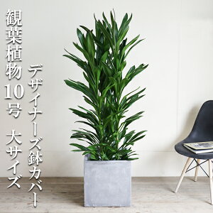 ϗtA ^ @l O[J 10 L[u^ fUCi[Y Jo[t AbVO[ 10 TCY hZi RWl ډB ɋ