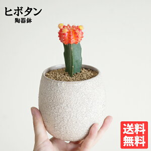 q{^yꉲOzT{e  TCY x[W 픫A JtT{e IW ~j    CeA