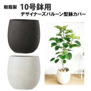 観葉植物 10号 大型 鉢の人気商品 通販 価格比較 価格 Com