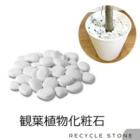 楽天市場 観葉植物 土隠しの通販