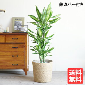 hZi WF ɋK̖ 8 炩t  ϗtA  ^ ^ CeA hZi K̖ ɐ