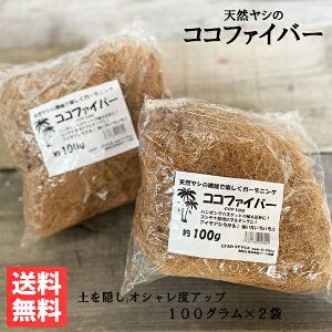 V̑@ 100gx2Zbg RRVt@Co[ VRf ACfBA낢