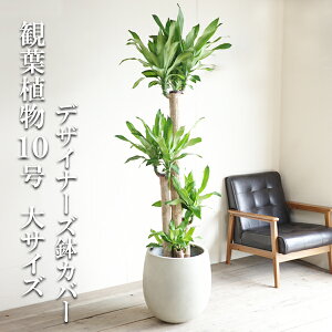 ϗtA ^ K̖ }bT 1ԑ傫TCYłB 10 o[^ fUCi[Y Jo[t zCg @ll v~A  ڔ 唫 10 TCY 傫TC