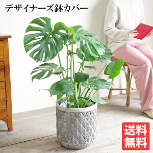 Xe 8 t@Co[ZgJo[t Vo[O[  ϗtA  ^ ^ CeA  K[f DIY