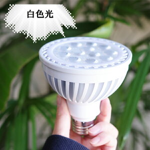 ϗtA 琬Cg K戵X zCg ubN WHITE BLACK PLANTS NEXLIGHT A琬Cg LED Cg Vi Cg ȃGl 琬 E26 PlantsNEXLIGHT vclNXCg lNXCg 