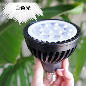 ϗtA 琬Cg K戵X zCg ubN WHITE BLACK PLANTS NEXLIGHT A琬Cg LED Cg Vi Cg ȃGl 琬 E26 PlantsNEXLIGHT vclNXCg lNXCg 