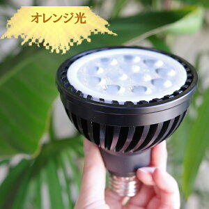 ϗtA 琬Cg K戵X zCg ubN WHITE BLACK PLANTS NEXLIGHT A琬Cg LED Cg Vi Cg ȃGl 琬 E26 PlantsNEXLIGHT vclNXCg lNXCg 