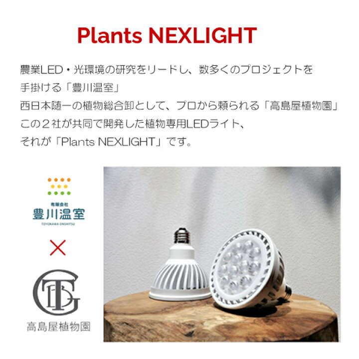 楽天市場】観葉植物 育成ライト 正規取扱い店 ホワイト ブラック WHITE 