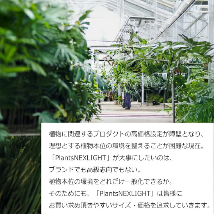 楽天市場 観葉植物 育成ライト White ホワイト Plants Nexlight 園芸店が使うライト Led 室内ライト 新商品 ライト 省エネ 育成 E26 Plantsnexlight プランツネクスライト ネクスライト 送料無料 観葉植物のthe Green