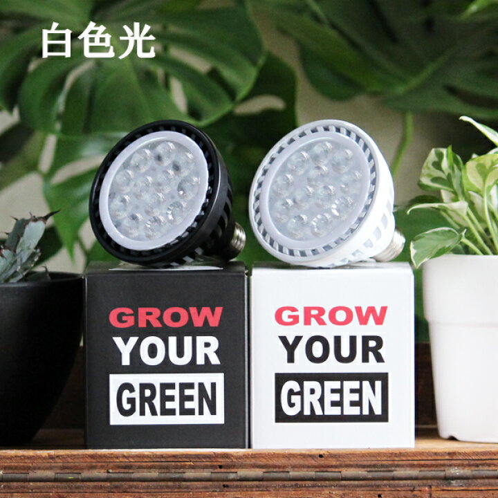 楽天市場】観葉植物 育成ライト 正規取扱い店 ホワイト ブラック WHITE 