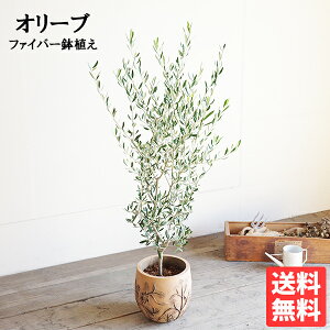 I[u t@Co[ZgA AeB[Nt`   ϗtA ^ A  CeA ^ I[u̖ ̔  LO ɋ yV ʔ Mtg v