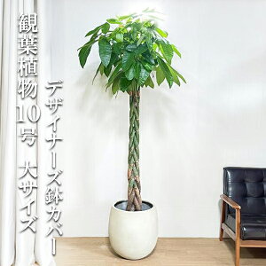 ϗtA ^ pL 10 @ll o[^ fUCi[Y Jo[t AC{[ ˂ ҂ v~A  ڔ 唫 10 CeA Jo[t ɐ