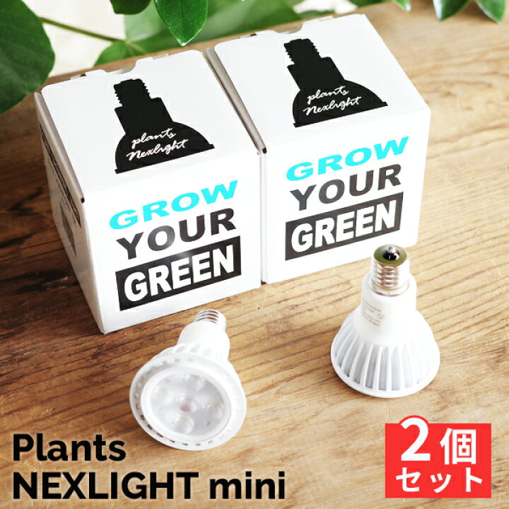 楽天市場】観葉植物 育成ライト ミニ 2点セット 正規取扱い店 