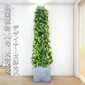 ϗtA ^ @ll |gX  ^[d 10 L[u^ t@Co[ Jo[t AbVO[ v~A  ڔ 唫 10 TCY 傫TCY C