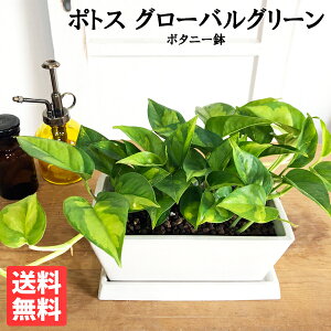 ϗtA  |gX O[oO[ XNGAA {^j[v^[ zCg  vŊȒP 