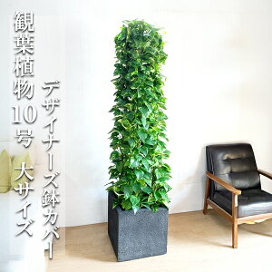 ϗtA ^ @ll |gX  ^[d 10 L[u^ fUCi[Y Jo[t ubN v~A  ڔ 唫 10 TCY 傫TCY CeA 