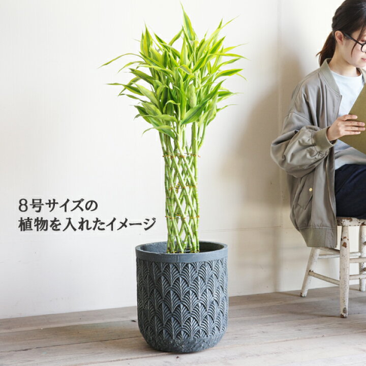 楽天市場】ファイバーセメント 植木鉢 鉢カバー リーフ柄 ブルー 