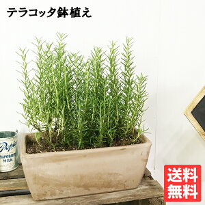 [Y}[  XNGA C^A eRb^A fĂ   A ϗtA CeA ^ ^ x_ eX oRj[ n[u ɋ