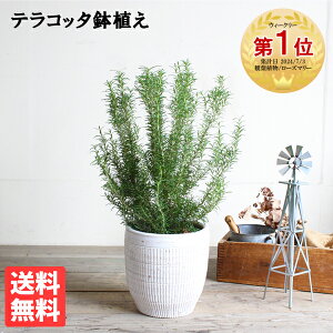 [Y}[ zCgeRb^ fĂ   A ϗtA  CeA ^ ^ x_ eX oRj[ n[u ɋ