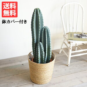 T{e T{e 3{ 8 炩t  { ϗtA ^ ^ CeA 