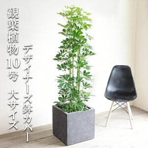 ϗtA ^ VFt  zRJ|bN 10 L[u^ fUCi[Y Jo[t ubN @ll v~A  ڔ 唫 10 TCY 傫TCY Ce