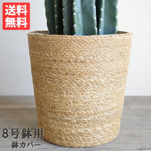 Jo[ 8 炩  唫p 8p CeAJo[ i` ϗtA  CeA
