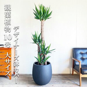 ϗtA ^ bJ Gt@eByX 10 @ll o[^ fUCi[YJo[t ubN ɋ v~A  ڔ 唫 10 TCY 傫TCY C