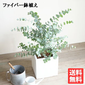 [J zCgL[uA ϗtA  c c x_ eX oRj[ n[u V{c[ Vo[[t oRjXg 