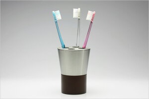 SALUS ROCHE Tj^[ObY uVRbv z_[ oXEgCEh[pi