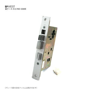 WEST 5300E ���P�[�X �o�b�N�Z�b�g50mm ���E���茓�p �v�b�V���v���n���h���p E13 BS50�y�E�G�X�g �����e�i���X���i�z