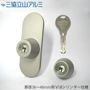 OA~ V_[ PKD0224 36mm L[5{t GOAL V18V_[dl GX^VAOX^C TKG + TKD 2L[yGCYzyO R eiXiz