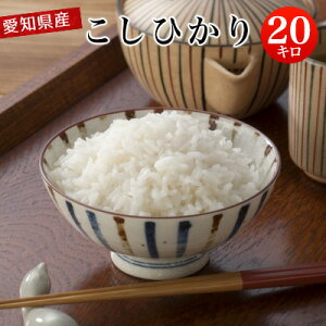 令和2年産 愛知県産 こしひかり 白米20kg 【送料無料※北海道・沖縄・一部離島を除く】
