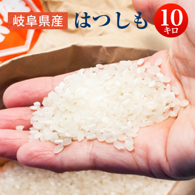 楽天市場】岐阜県 ハツシモ 10kgの通販