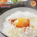 令和6年産 新潟県 岩船産 こしひかり 白米10kg 【送料無料】 【北海道・沖縄・一部離島配送不可】コシヒカリ