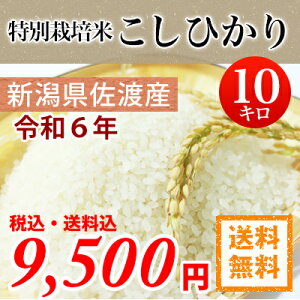 ߘa6NY V n VnY@ʍ͔| Ђ 10kg yz ykCEEꕔzszRVqJ