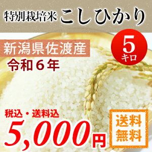 令和6年産 新潟県 佐渡 新潟県佐渡産 特別栽培米 こしひかり 白米5kg 【送料無料】 【北海道・沖縄・一部離島配送不可】コシヒカリ