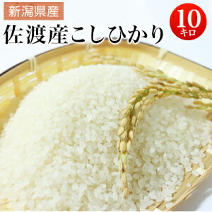 ߘa6NY V n VnY@ʍ͔| Ђ 10kg yz ykCEEꕔzszRVqJ