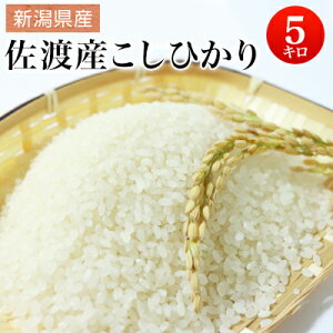 ߘa6NY V n VnY@ʍ͔| Ђ 5kg yz ykCEEꕔzszRVqJ