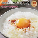 備蓄米 令和5年産 滋賀県産 コシヒカリ 白米10kg 【送料無料】北海道・沖縄・一部離島を除く【税込】 こめ お米 送料込み