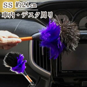 y365yVqɔz M-15 т΂ ō GXL[ ʒ ESCI I[Xgb`  ԗp  {  nhCh ԗpi쏊    