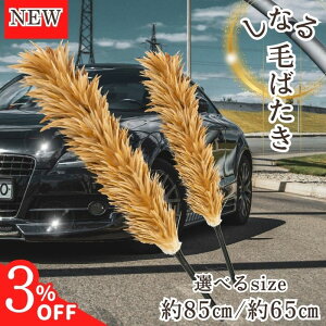 y1920`3N[|zy365yVqɔz MB-006 т΂ ԗp hV̓ { { Ȃ Ȃ 傫  RpNg VR  ԗp ԗpi  ԗpi쏊   u