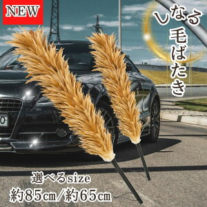 y365yVqɔz MB-006 т΂ ԗp hV̓ { { Ȃ Ȃ 傫  RpNg VR  ԗp ԗpi  ԗpi쏊   uE F zR   